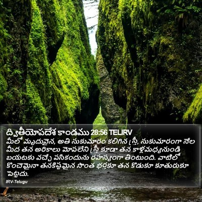 ద్వితీయోపదేశ కాండము 28:56 TELIRV Bible Verse Image