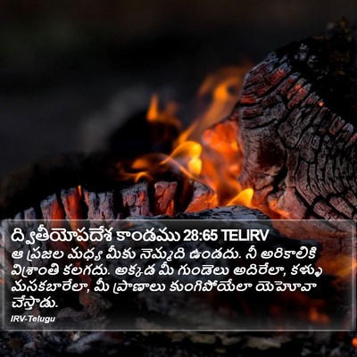 ద్వితీయోపదేశ కాండము 28:65 TELIRV Bible Verse Image