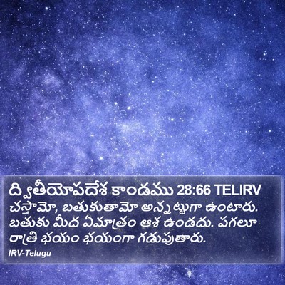 ద్వితీయోపదేశ కాండము 28:66 TELIRV Bible Verse Image