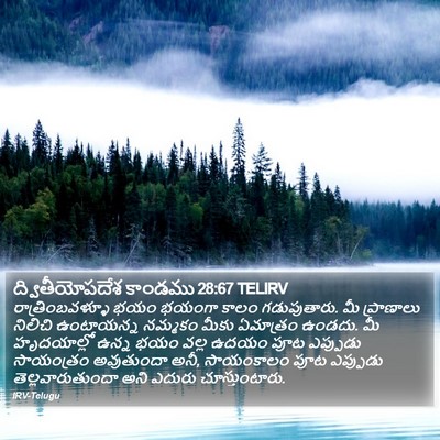 ద్వితీయోపదేశ కాండము 28:67 TELIRV Bible Verse Image