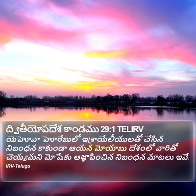 ద్వితీయోపదేశ కాండము 29:1 TELIRV Bible Verse Image