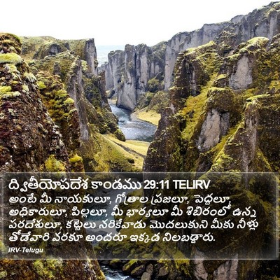 ద్వితీయోపదేశ కాండము 29:11 TELIRV Bible Verse Image