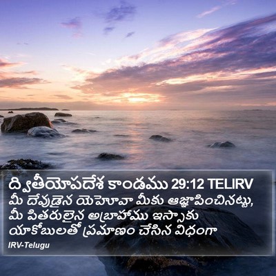 ద్వితీయోపదేశ కాండము 29:12 TELIRV Bible Verse Image