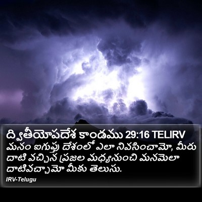 ద్వితీయోపదేశ కాండము 29:16 TELIRV Bible Verse Image