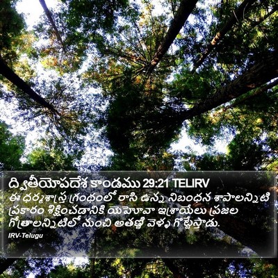 ద్వితీయోపదేశ కాండము 29:21 TELIRV Bible Verse Image