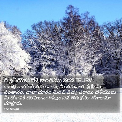 ద్వితీయోపదేశ కాండము 29:22 TELIRV Bible Verse Image