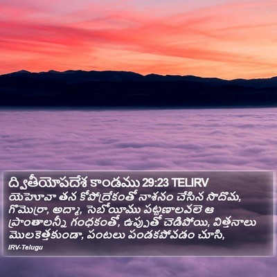 ద్వితీయోపదేశ కాండము 29:23 TELIRV Bible Verse Image
