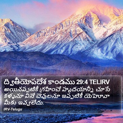ద్వితీయోపదేశ కాండము 29:4 TELIRV Bible Verse Image
