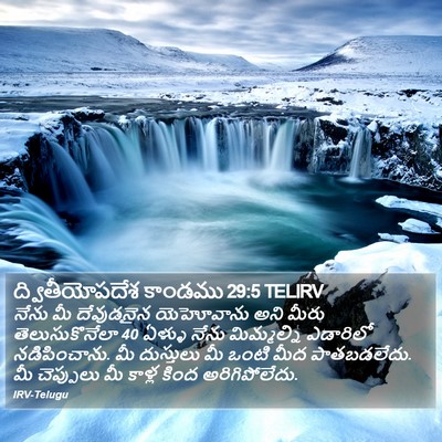 ద్వితీయోపదేశ కాండము 29:5 TELIRV Bible Verse Image