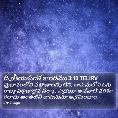 ద్వితీయోపదేశ కాండము 3:10 TELIRV Bible Verse Image