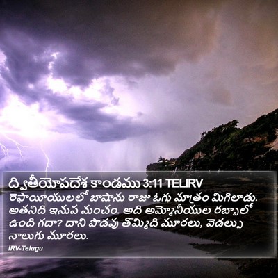 ద్వితీయోపదేశ కాండము 3:11 TELIRV Bible Verse Image