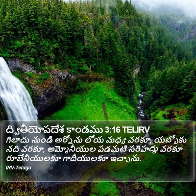 ద్వితీయోపదేశ కాండము 3:16 TELIRV Bible Verse Image