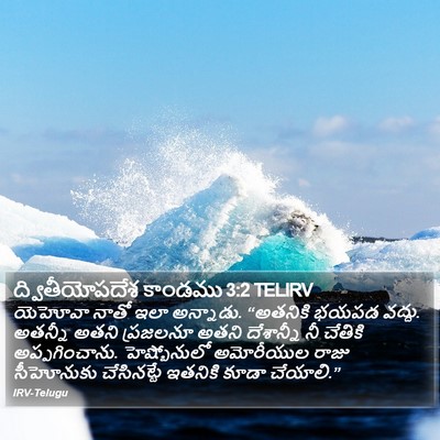 ద్వితీయోపదేశ కాండము 3:2 TELIRV Bible Verse Image
