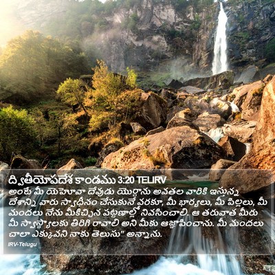 ద్వితీయోపదేశ కాండము 3:20 TELIRV Bible Verse Image