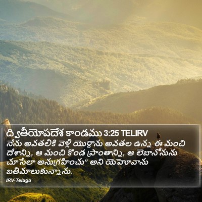ద్వితీయోపదేశ కాండము 3:25 TELIRV Bible Verse Image