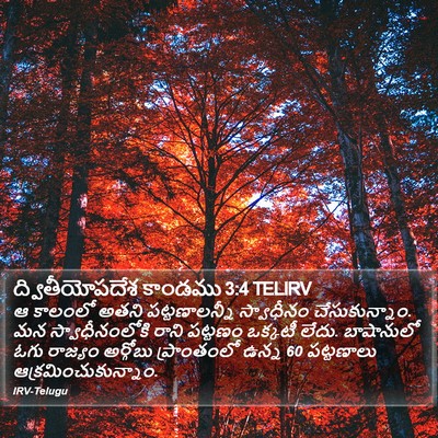 ద్వితీయోపదేశ కాండము 3:4 TELIRV Bible Verse Image