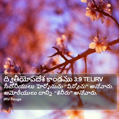 ద్వితీయోపదేశ కాండము 3:9 TELIRV Bible Verse Image