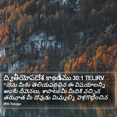 ద్వితీయోపదేశ కాండము 30:1 TELIRV Bible Verse Image