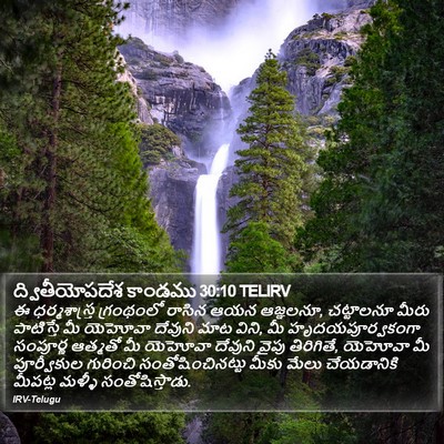 ద్వితీయోపదేశ కాండము 30:10 TELIRV Bible Verse Image