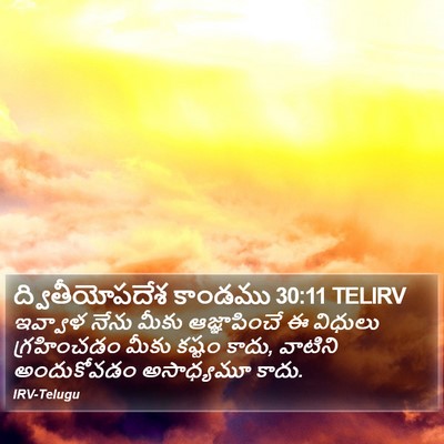 ద్వితీయోపదేశ కాండము 30:11 TELIRV Bible Verse Image