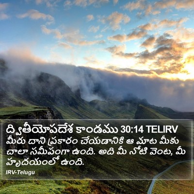 ద్వితీయోపదేశ కాండము 30:14 TELIRV Bible Verse Image