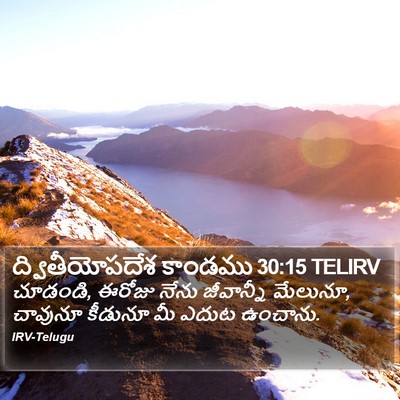 ద్వితీయోపదేశ కాండము 30:15 TELIRV Bible Verse Image