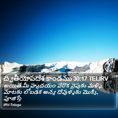 ద్వితీయోపదేశ కాండము 30:17 TELIRV Bible Verse Image
