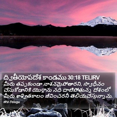 ద్వితీయోపదేశ కాండము 30:18 TELIRV Bible Verse Image