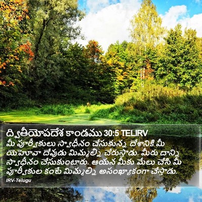 ద్వితీయోపదేశ కాండము 30:5 TELIRV Bible Verse Image