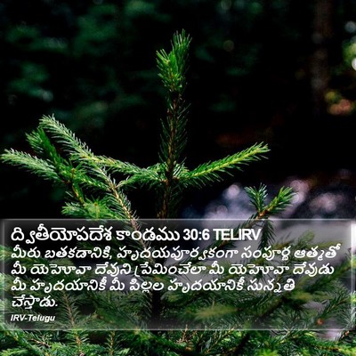 ద్వితీయోపదేశ కాండము 30:6 TELIRV Bible Verse Image