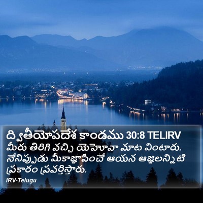 ద్వితీయోపదేశ కాండము 30:8 TELIRV Bible Verse Image