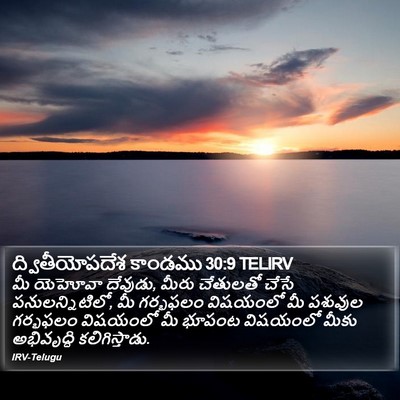ద్వితీయోపదేశ కాండము 30:9 TELIRV Bible Verse Image