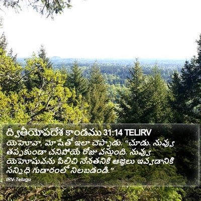 ద్వితీయోపదేశ కాండము 31:14 TELIRV Bible Verse Image