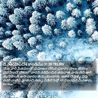 ద్వితీయోపదేశ కాండము 31:20 TELIRV Bible Verse Image