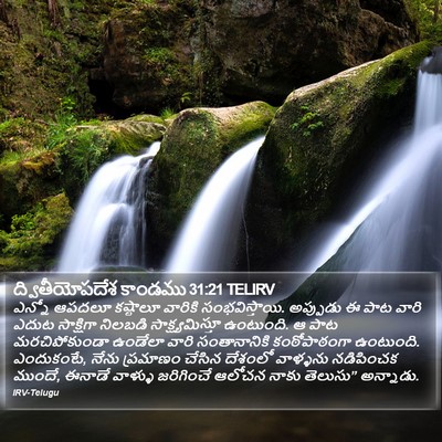 ద్వితీయోపదేశ కాండము 31:21 TELIRV Bible Verse Image