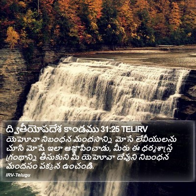ద్వితీయోపదేశ కాండము 31:25 TELIRV Bible Verse Image