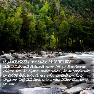 ద్వితీయోపదేశ కాండము 31:28 TELIRV Bible Verse Image