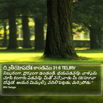 ద్వితీయోపదేశ కాండము 31:6 TELIRV Bible Verse Image