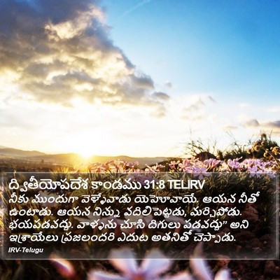 ద్వితీయోపదేశ కాండము 31:8 TELIRV Bible Verse Image