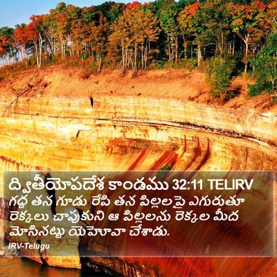 ద్వితీయోపదేశ కాండము 32:11 TELIRV Bible Verse Image