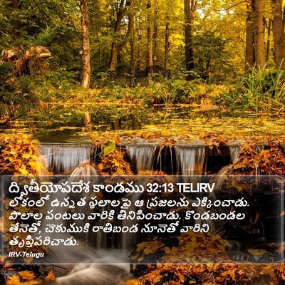 ద్వితీయోపదేశ కాండము 32:13 TELIRV Bible Verse Image