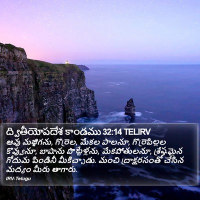 ద్వితీయోపదేశ కాండము 32:14 TELIRV Bible Verse Image