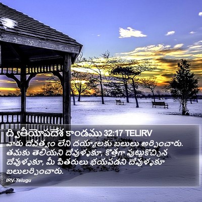 ద్వితీయోపదేశ కాండము 32:17 TELIRV Bible Verse Image