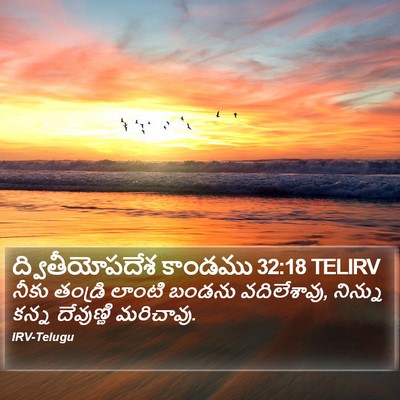ద్వితీయోపదేశ కాండము 32:18 TELIRV Bible Verse Image