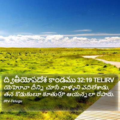 ద్వితీయోపదేశ కాండము 32:19 TELIRV Bible Verse Image