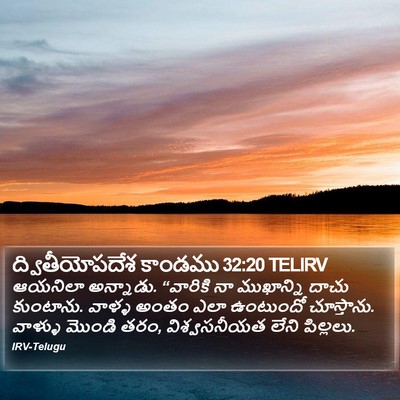 ద్వితీయోపదేశ కాండము 32:20 TELIRV Bible Verse Image