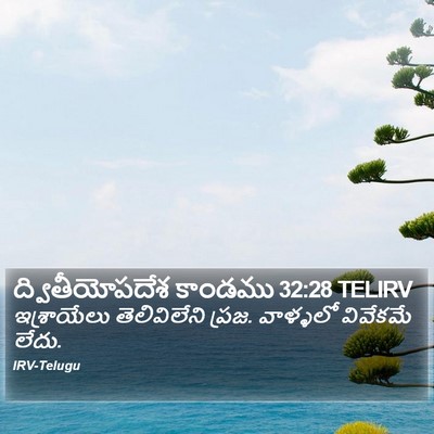 ద్వితీయోపదేశ కాండము 32:28 TELIRV Bible Verse Image