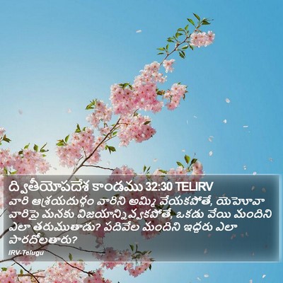 ద్వితీయోపదేశ కాండము 32:30 TELIRV Bible Verse Image