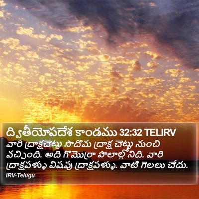 ద్వితీయోపదేశ కాండము 32:32 TELIRV Bible Verse Image