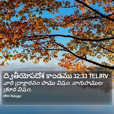 ద్వితీయోపదేశ కాండము 32:33 TELIRV Bible Verse Image
